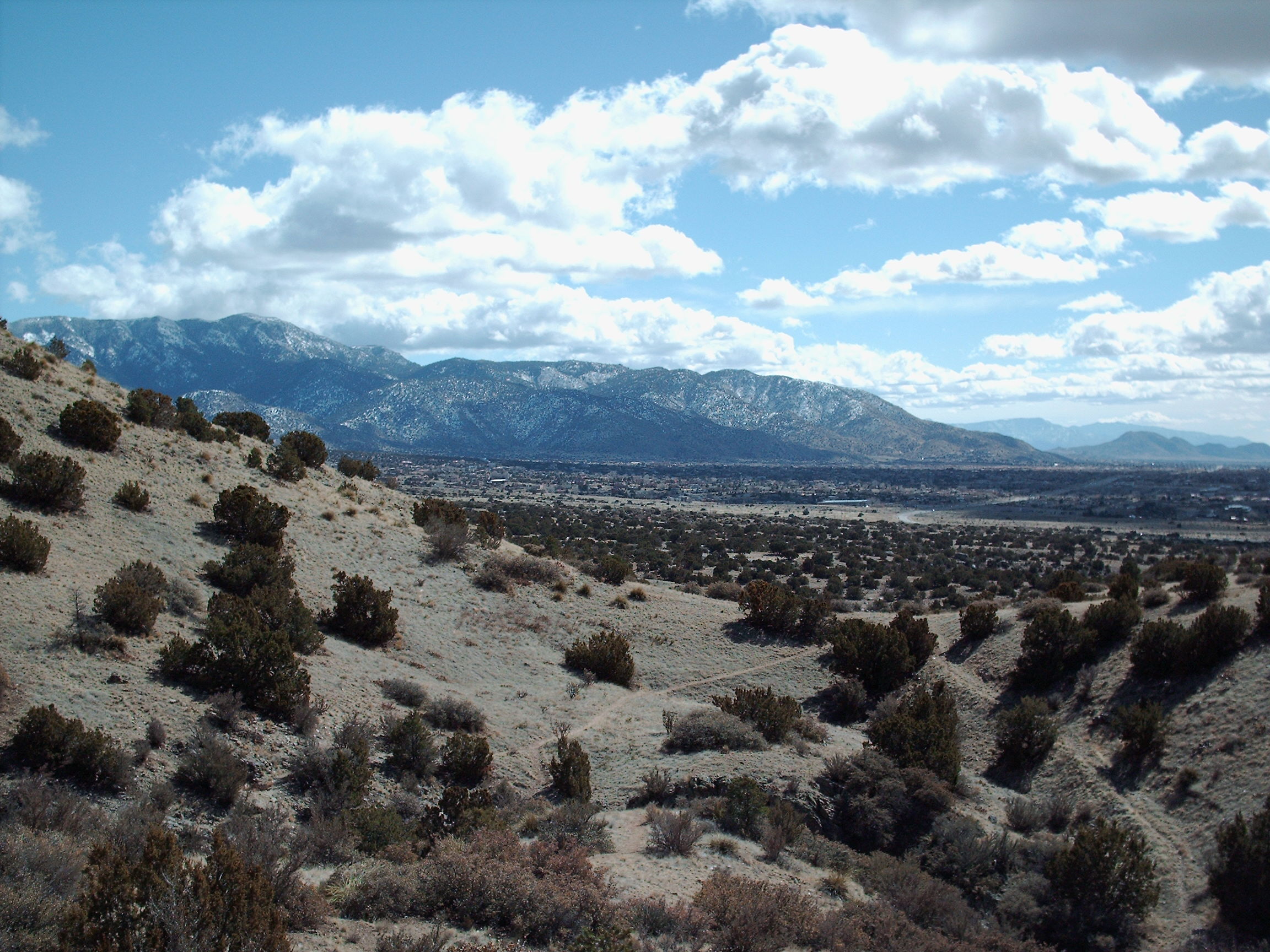 Foothills of Sandia Mts, New Mexico