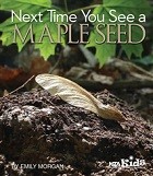 mapleseed