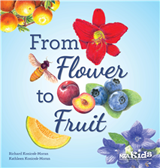 From Fruit to Flower book cover