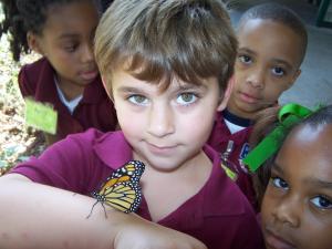 boy with butterfly