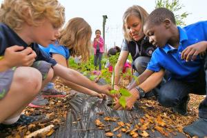 students planting