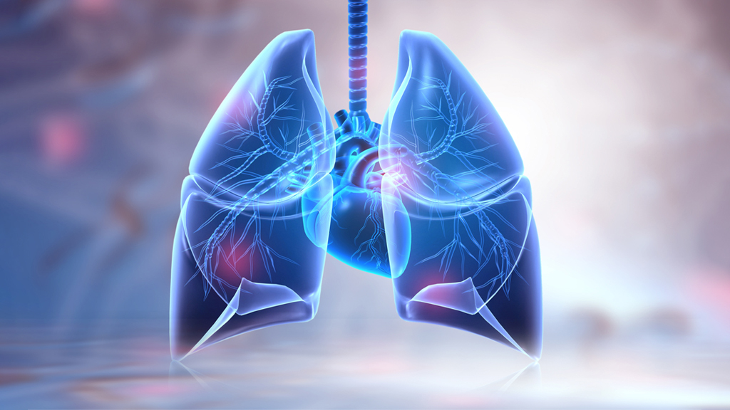 Where did the Tibetan population's physiological strategies come from?