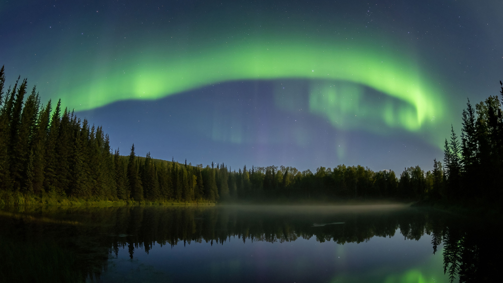 Why are most auroras observed near the North and South Poles?