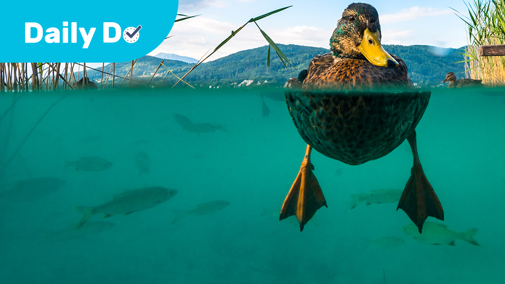 Why Does a Part's Shape Matter?