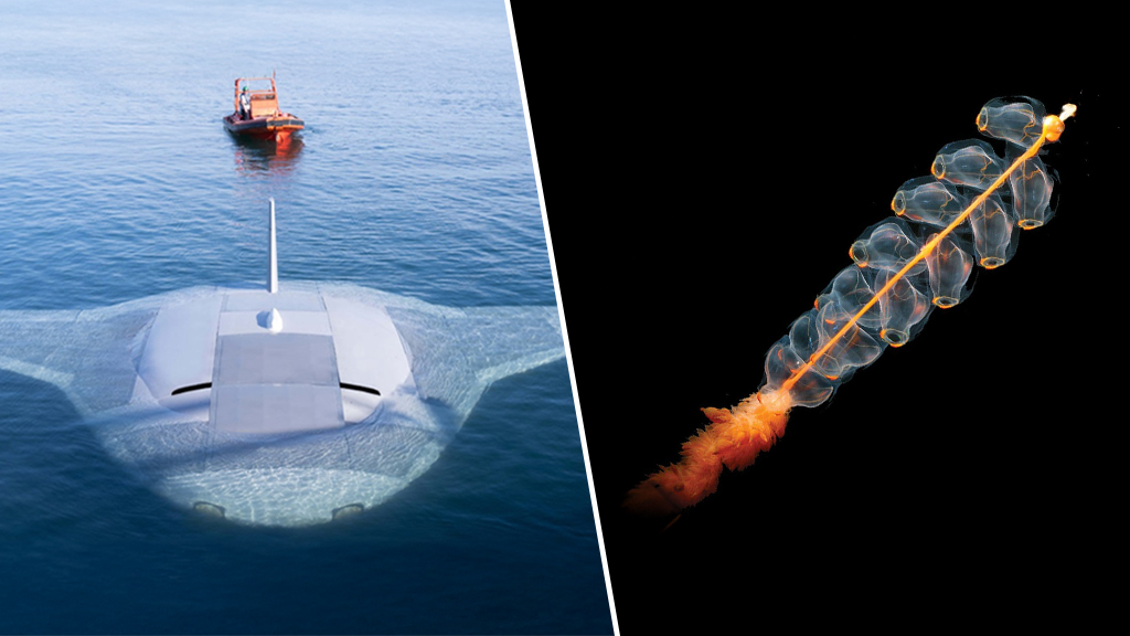 Mysteries of the Deep: UUVs and Digitizing Ocean Communication