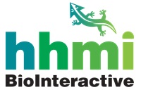 hhmi_biointeractive