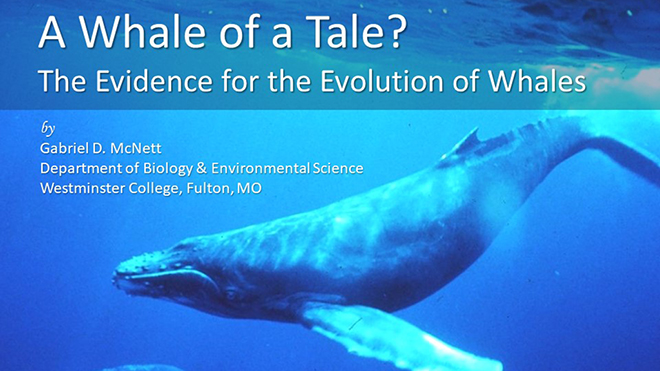 https://www.nsta.org/sites/default/files/resources/images/whale_evolution_660.jpg