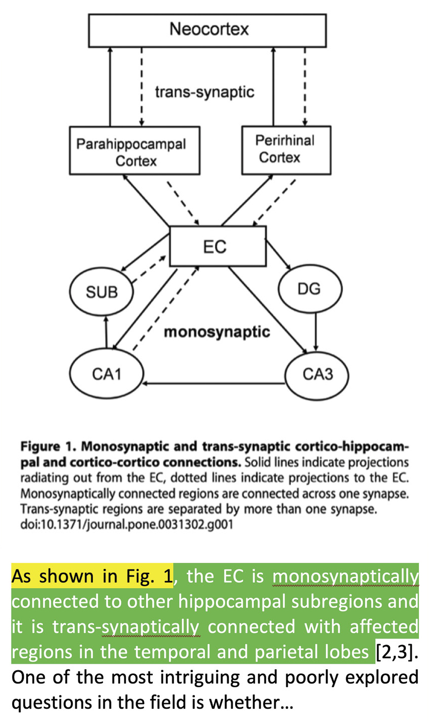 Figure 3 Example from the introduction of a medical sciences research article.